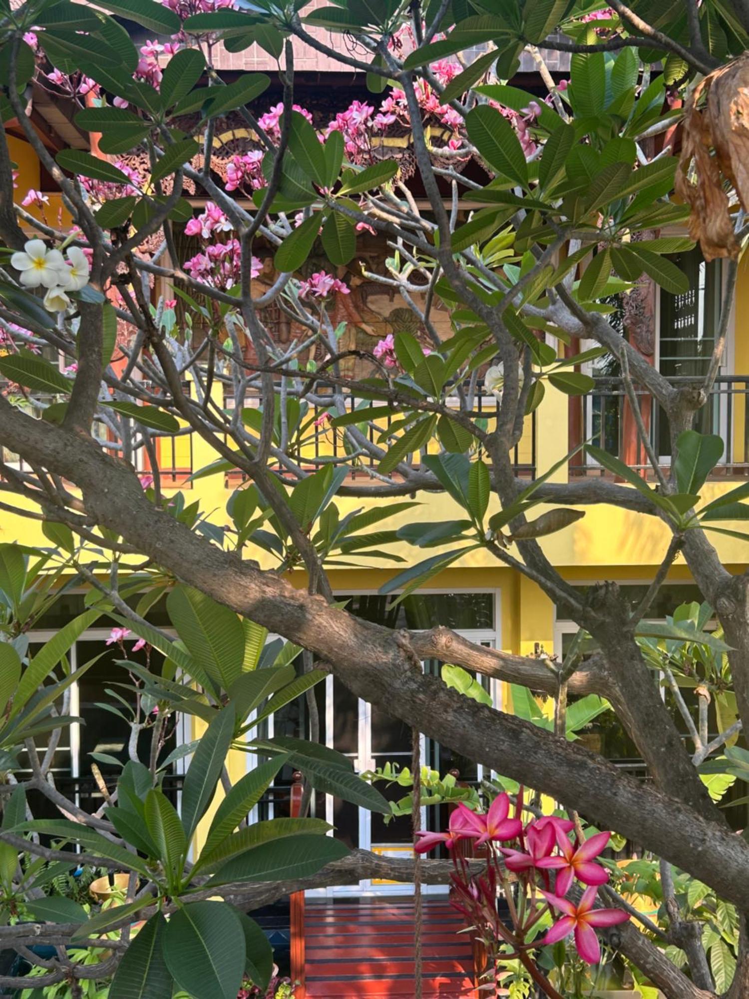 Lamduan Boutique Homestay Chiang Mai Luaran gambar