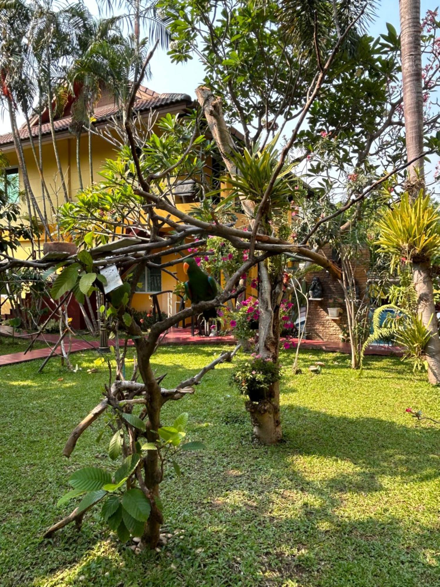 Lamduan Boutique Homestay Chiang Mai Luaran gambar